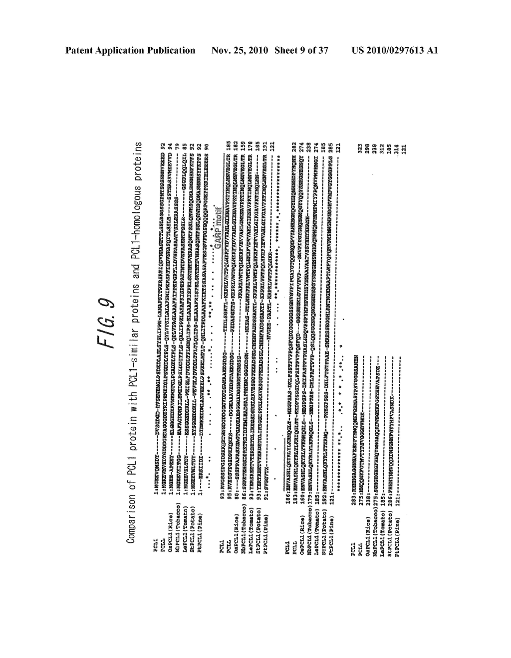 Nucleic acid, amino acid encoded by said nucleic acid, probe comprising said nucleic acid or said amino acid, and screening method using said probe - diagram, schematic, and image 10