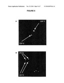 SITU HYBRIDISATION METHOD diagram and image