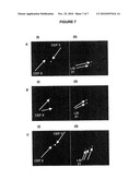 SITU HYBRIDISATION METHOD diagram and image