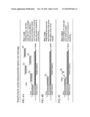 Reagents, Methods, and Libraries for Bead-Based Sequencing diagram and image