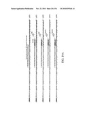 Reagents, Methods, and Libraries for Bead-Based Sequencing diagram and image