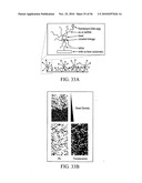 Reagents, Methods, and Libraries for Bead-Based Sequencing diagram and image