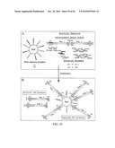 Reagents, Methods, and Libraries for Bead-Based Sequencing diagram and image