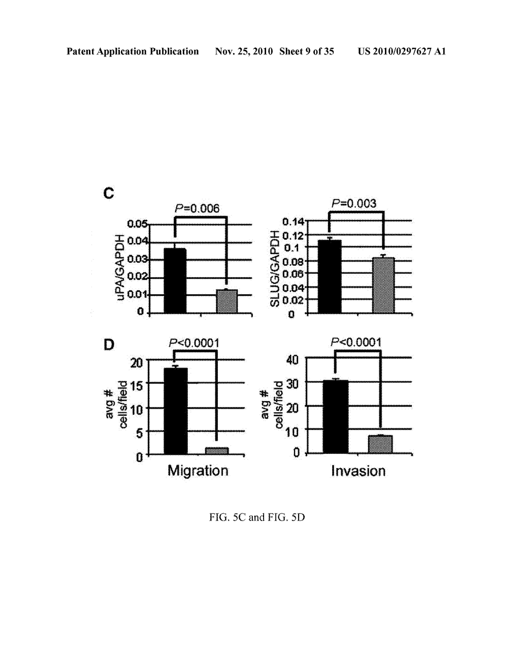 MicroRNA Diagnostics for Cancer - diagram, schematic, and image 10