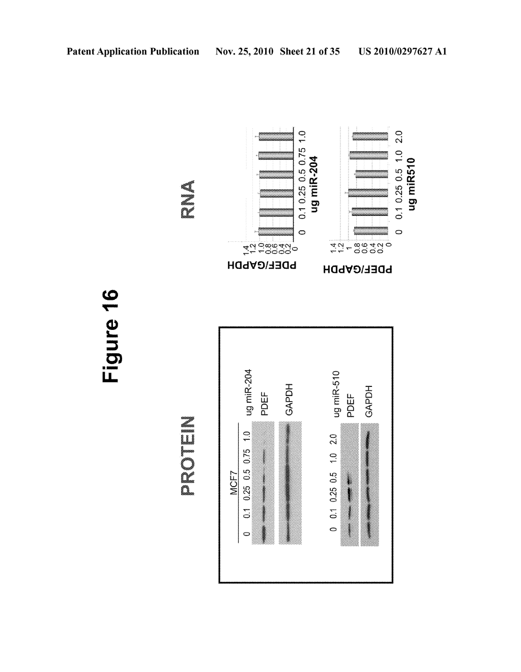 MicroRNA Diagnostics for Cancer - diagram, schematic, and image 22