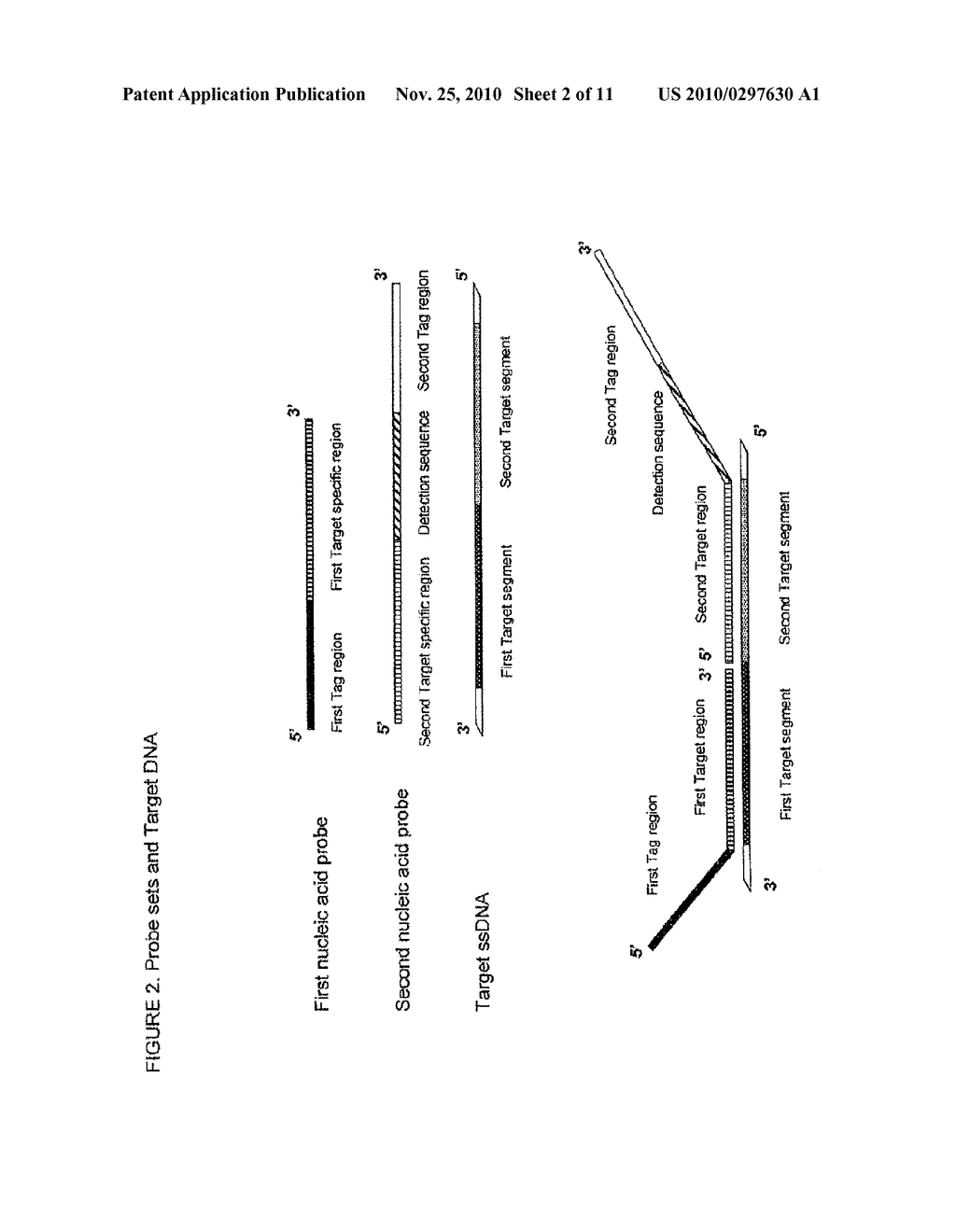 METHOD FOR THE SIMULTANEOUS DETECTION OF MULTIPLE NUCLEIC ACID SEQUENCES IN A SAMPLE - diagram, schematic, and image 03