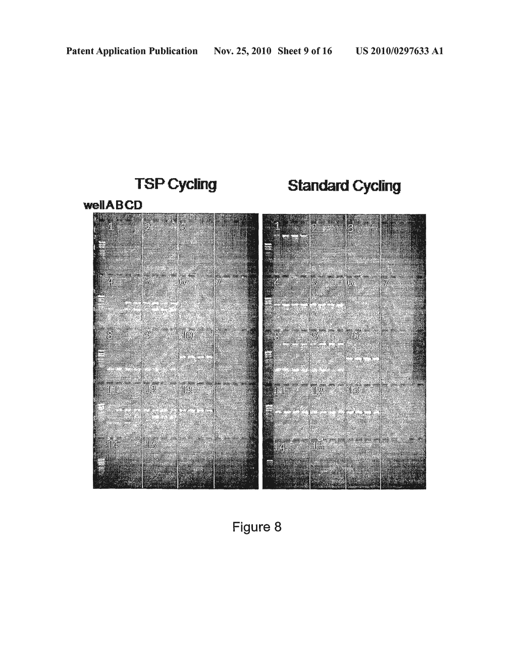 METHOD OF AMPLIFYING NUCLEIC ACID - diagram, schematic, and image 10