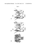 MOLECULAR ADAPTORS diagram and image