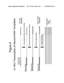 Terminus-Specific DNA Modification Using Random-Sequence Template Oligonucleotides diagram and image