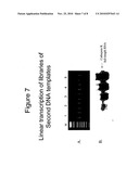 Terminus-Specific DNA Modification Using Random-Sequence Template Oligonucleotides diagram and image