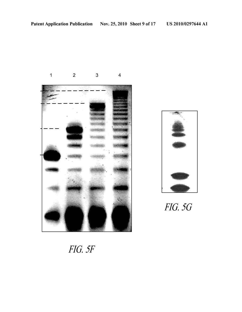 HIGH THROUGHPUT NUCLEIC ACID SEQUENCING BY SPACING - diagram, schematic, and image 10