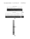 METHOD FOR DETECTION OF CANCER diagram and image