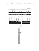 METHOD FOR DETECTION OF CANCER diagram and image