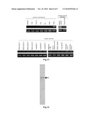 METHOD FOR DETECTION OF CANCER diagram and image