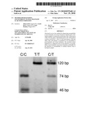 METHOD FOR DIAGNOSING SUSCEPTIBILITY TO POST-TRAUMATIC SCAR-TISSUE FORMATION diagram and image