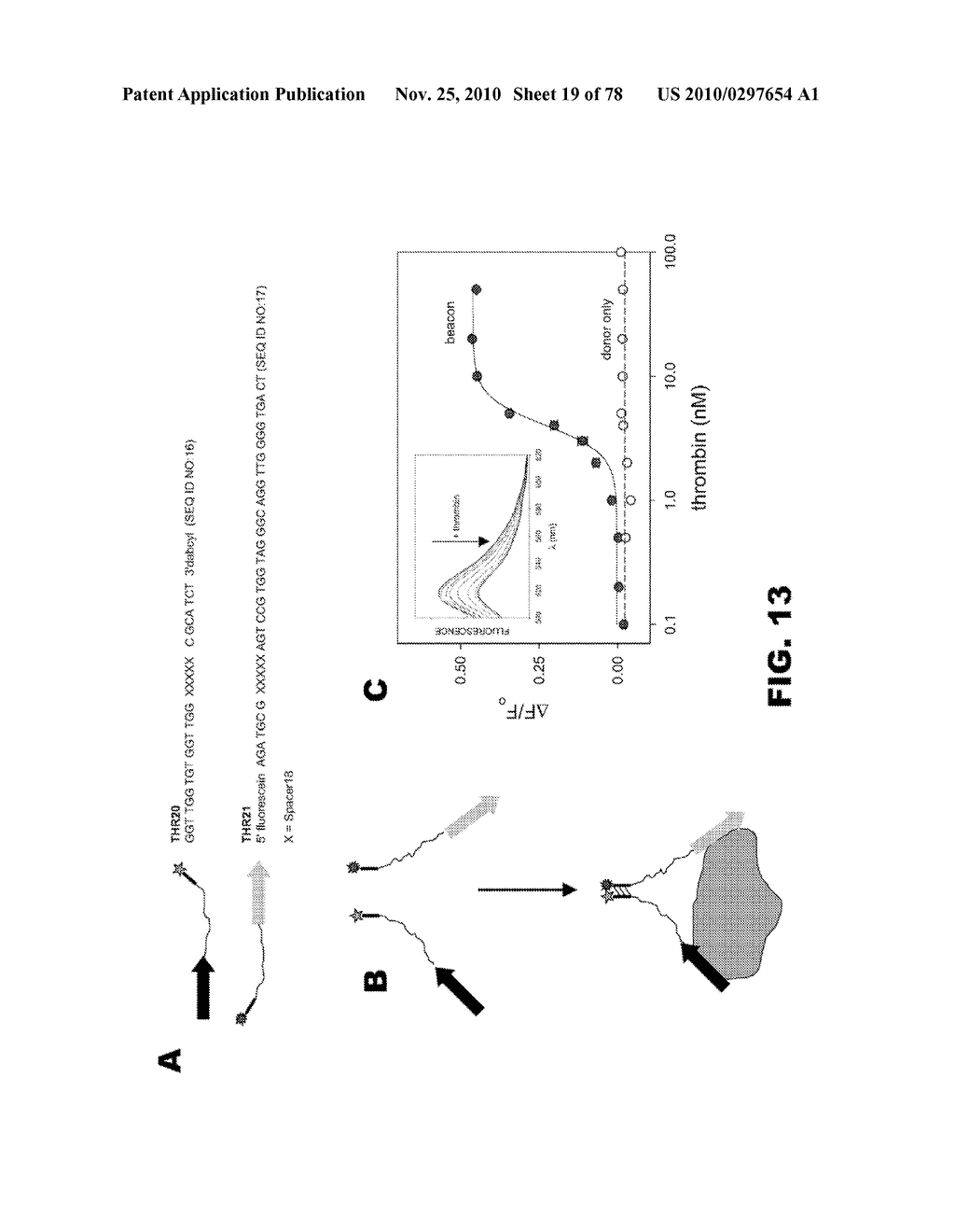 THREE-COMPONENT BIOSENSORS FOR DETECTING MACROMOLECULES AND OTHER ANALYTES - diagram, schematic, and image 20