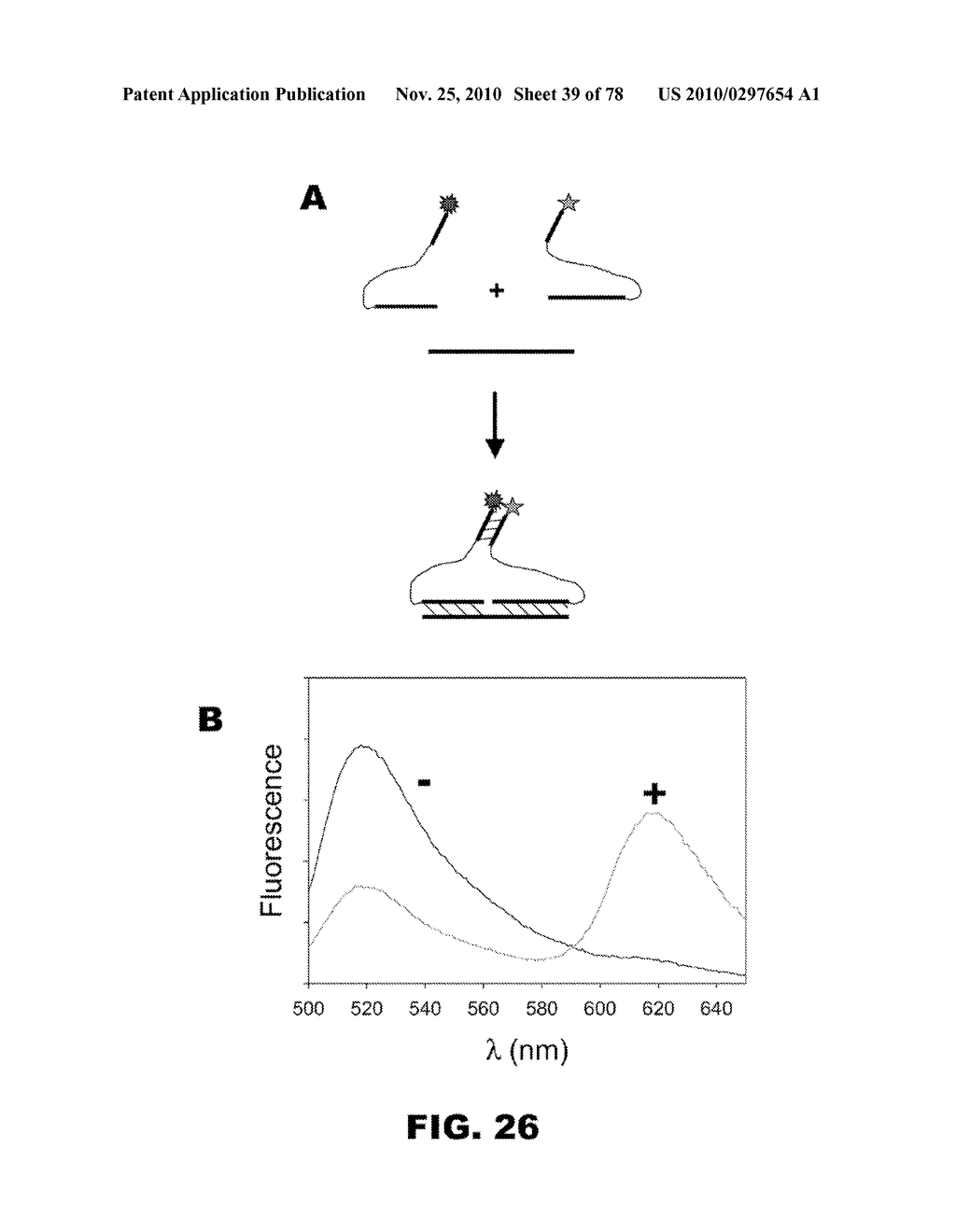 THREE-COMPONENT BIOSENSORS FOR DETECTING MACROMOLECULES AND OTHER ANALYTES - diagram, schematic, and image 40