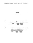 EXPRESSION PROFILE OF PROSTATE CANCER diagram and image