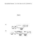 EXPRESSION PROFILE OF PROSTATE CANCER diagram and image