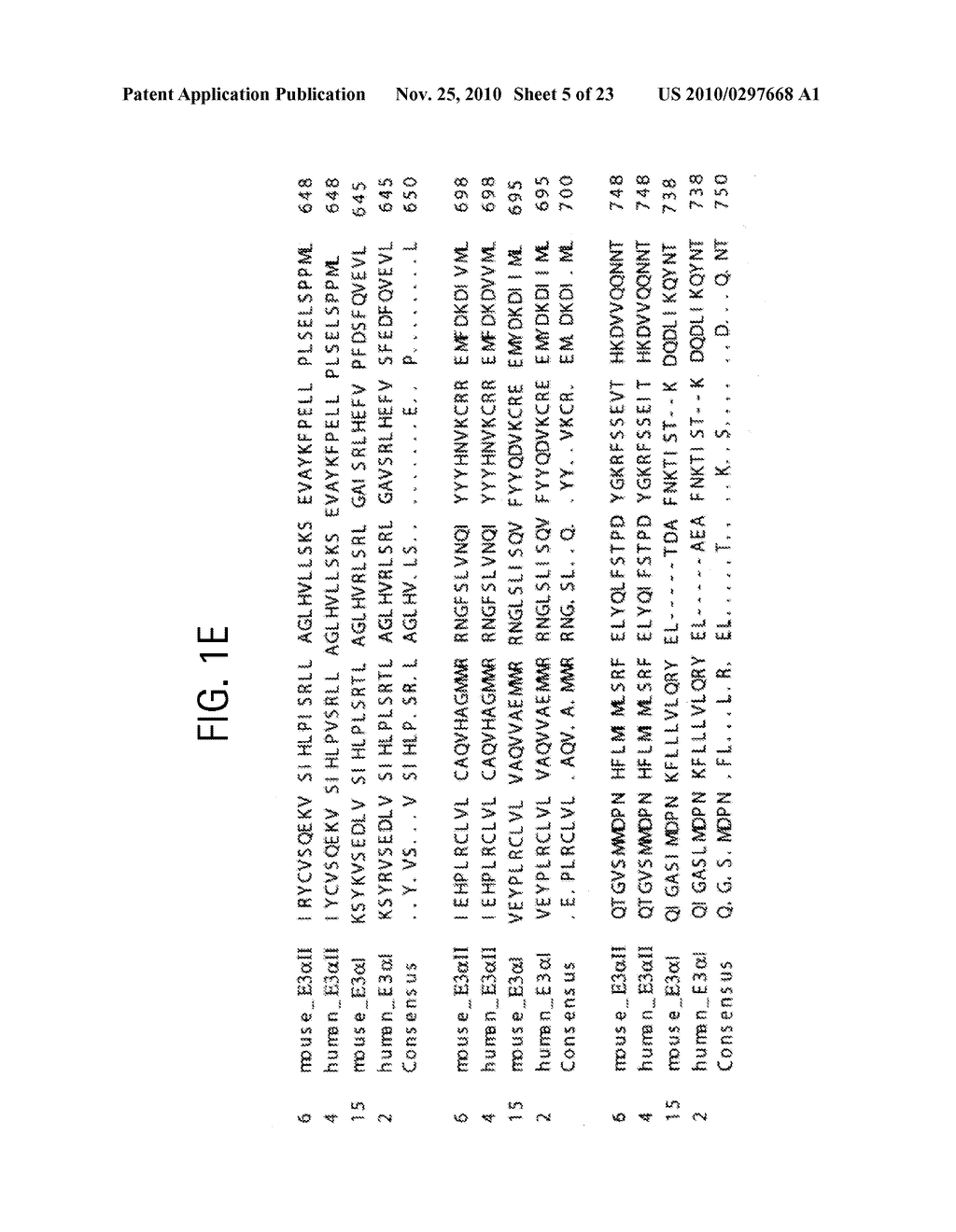 HUMAN E3ALPHA UBIQUITIN LIGASE FAMILY - diagram, schematic, and image 06