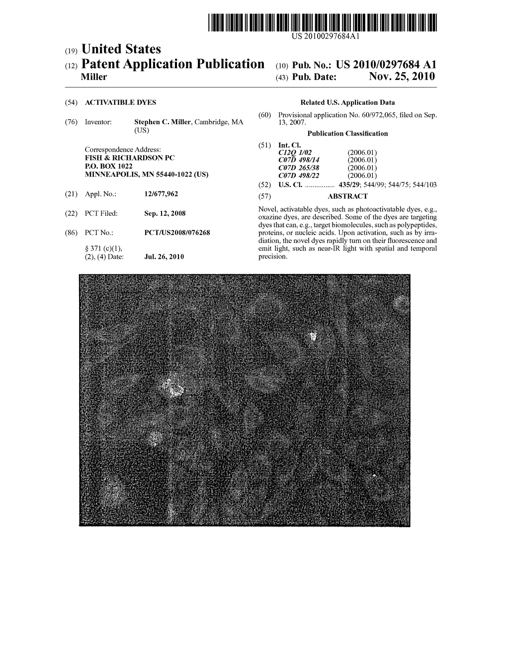 ACTIVATIBLE DYES - diagram, schematic, and image 01