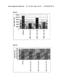 Antibodies to TNF Alpha diagram and image