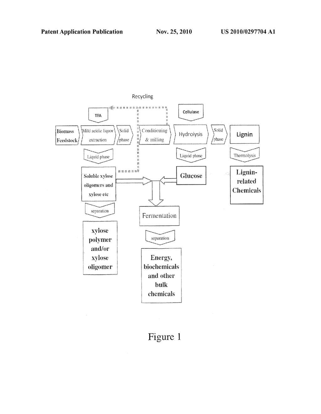 PROCESS FOR BIOMASS CONVERSION - diagram, schematic, and image 02