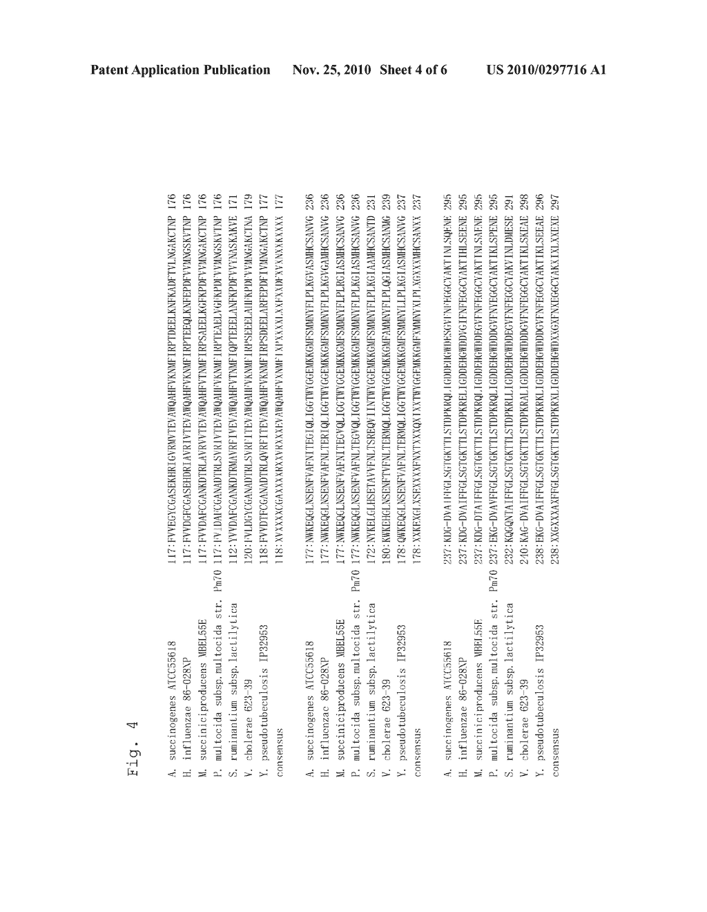 METHOD FOR PRODUCING AN ORGANIC ACID - diagram, schematic, and image 05