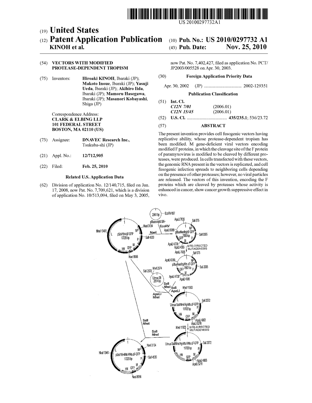 VECTORS WITH MODIFIED PROTEASE-DEPENDENT TROPISM - diagram, schematic, and image 01