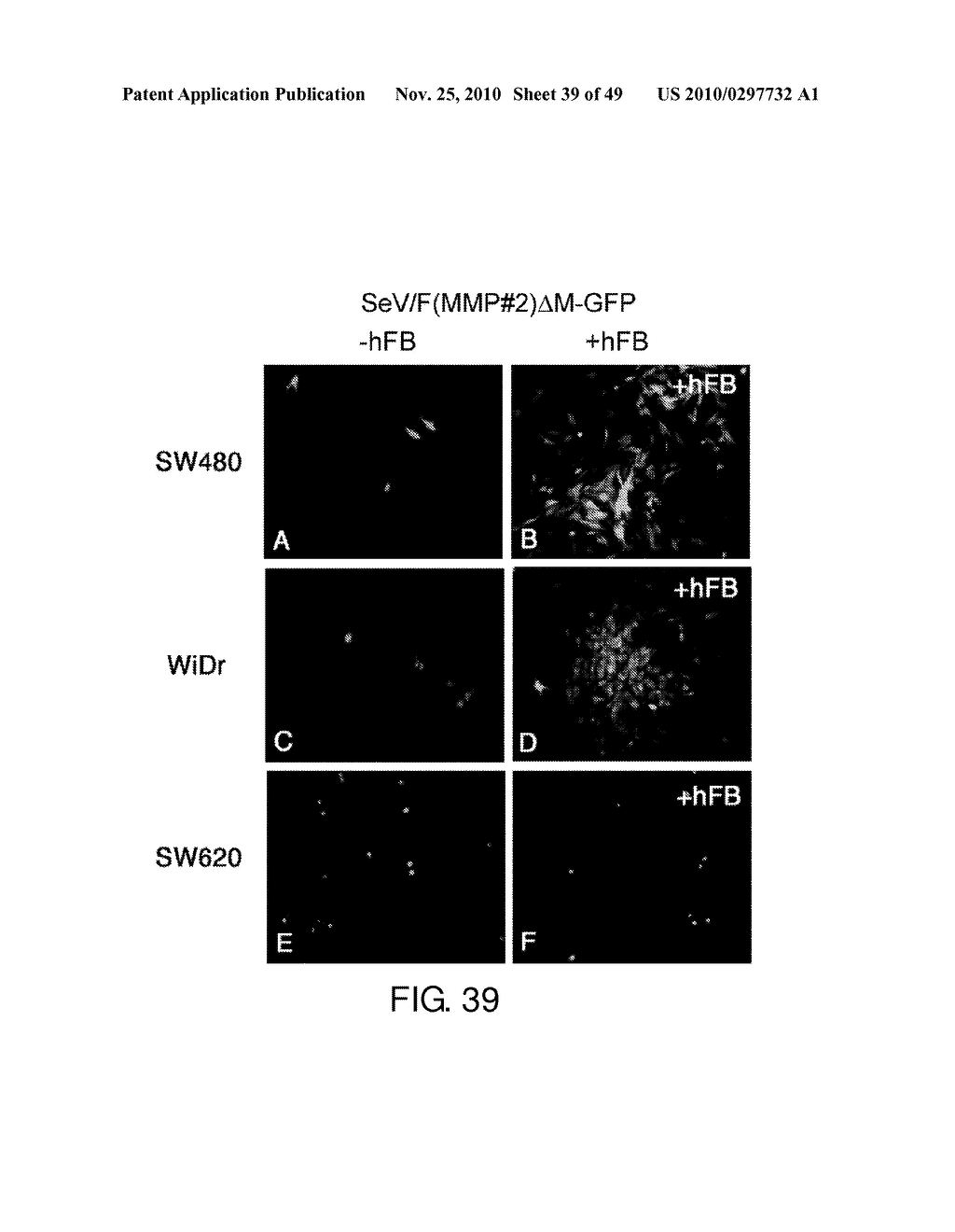 VECTORS WITH MODIFIED PROTEASE-DEPENDENT TROPISM - diagram, schematic, and image 40