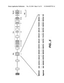 MN Gene and Protein diagram and image