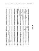 MN Gene and Protein diagram and image