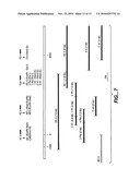 MN Gene and Protein diagram and image