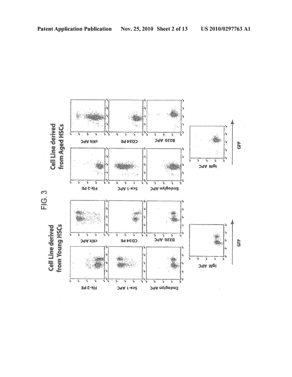 CONDITIONALLY IMMORTALIZED LONG-TERM STEM CELLS AND METHODS OF MAKING AND USING SUCH CELLS - diagram, schematic, and image 03