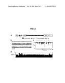 CENTROMERE SEQUENCES AND MINICHROMOSOMES diagram and image