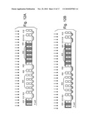 METHOD FOR ANGULAR DOPING OF SOURCE AND DRAIN REGIONS FOR ODD AND EVEN NAND BLOCKS diagram and image