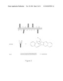 COMPLEXES OF CARBON NANOTUBES AND FULLERENES WITH MOLECULAR-CLIPS AND USE THEREOF diagram and image