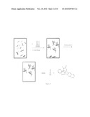 COMPLEXES OF CARBON NANOTUBES AND FULLERENES WITH MOLECULAR-CLIPS AND USE THEREOF diagram and image