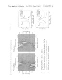 COMPLEXES OF CARBON NANOTUBES AND FULLERENES WITH MOLECULAR-CLIPS AND USE THEREOF diagram and image