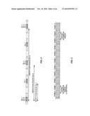 Transmission of System Information on a Downlink Shared Channel diagram and image