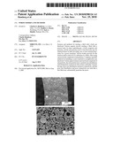 Porous Bodies and Methods diagram and image