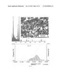 Porous Bodies and Methods diagram and image