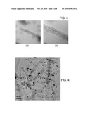 CARBON NANOTUBE CATALYSTS HAVING METAL CATALYST NANO-PARTICLES SUPPORTED ON INNER CHANNEL OF CARBON NANOTUBE AND PREPARATION METHOD THEREOF diagram and image