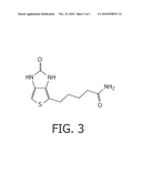 METHODS FOR ANALYSING PROTEIN SAMPLES BASED ON THE IDENTIFICATION OF C-TERMINAL PEPTIDES diagram and image