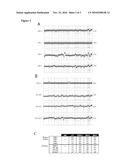 Compositions, Kits, and Methods for Identification, Assessment, Prevention, and Therapy of Cancer diagram and image