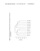 METHOD AND TOOLS FOR PROGNOSIS OF CANCER IN ER-PATIENTS diagram and image