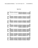 Alkaline Proteases and Detergents and Cleaners Comprising These Alkaline Proteases diagram and image