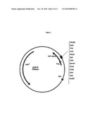 Alkaline Proteases and Detergents and Cleaners Comprising These Alkaline Proteases diagram and image