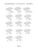 Compounds and assays for controlling Wnt activity diagram and image