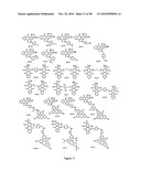 Compounds and assays for controlling Wnt activity diagram and image